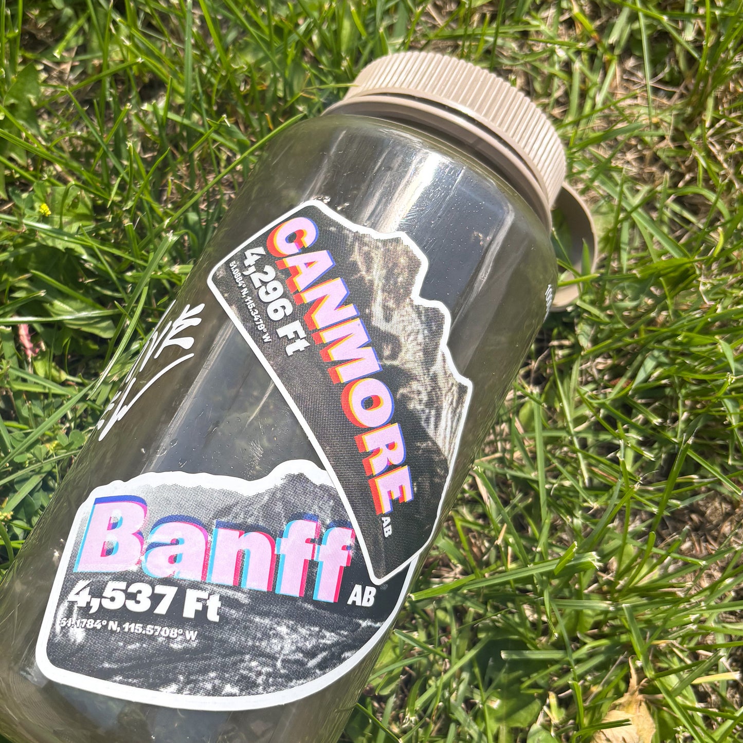 Canmore Sticker "MISPRINT FX"